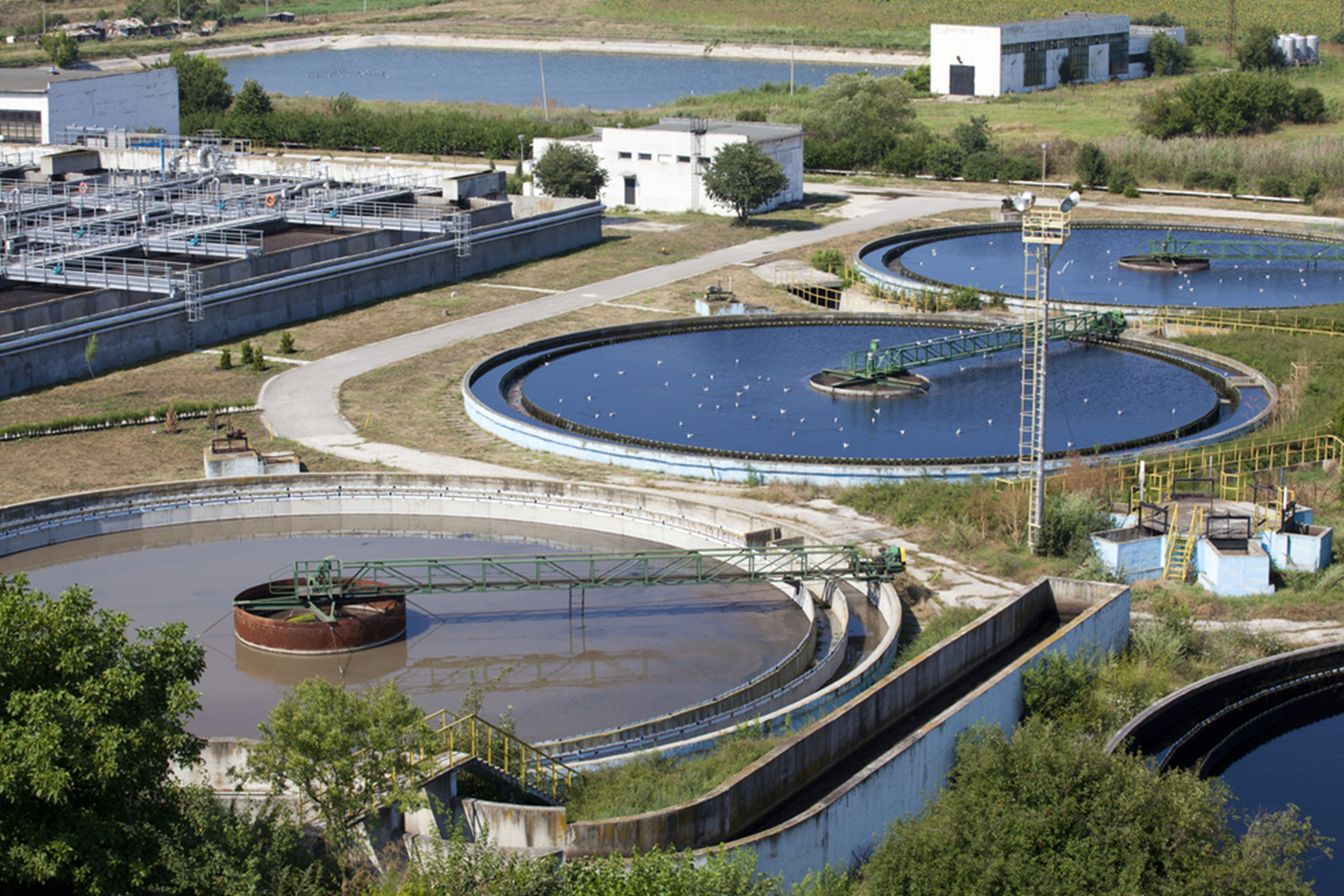 Proje Danışmanlığı